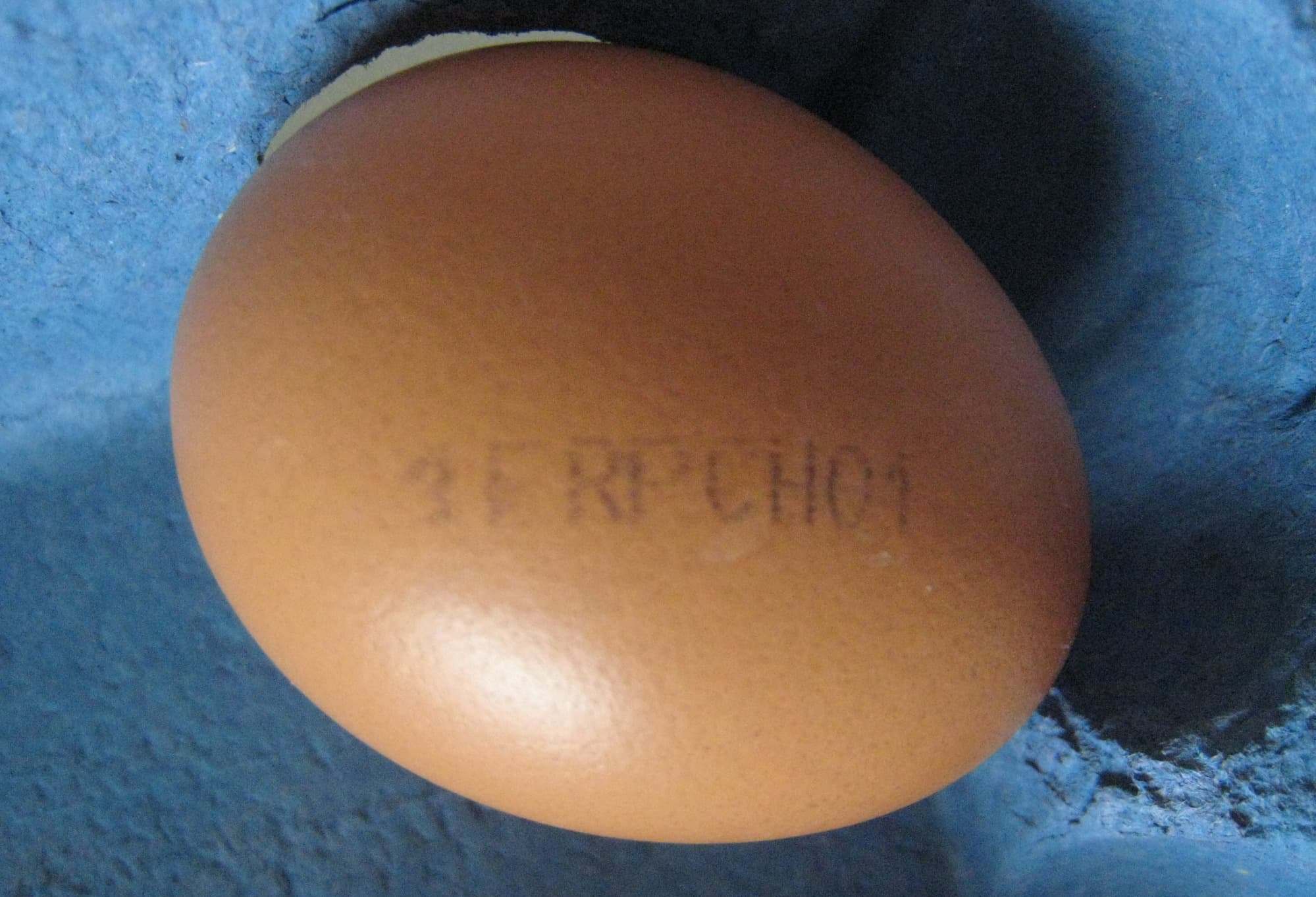Bruno Debray 12 oeufs Plein Air-Bruno Debray packshot