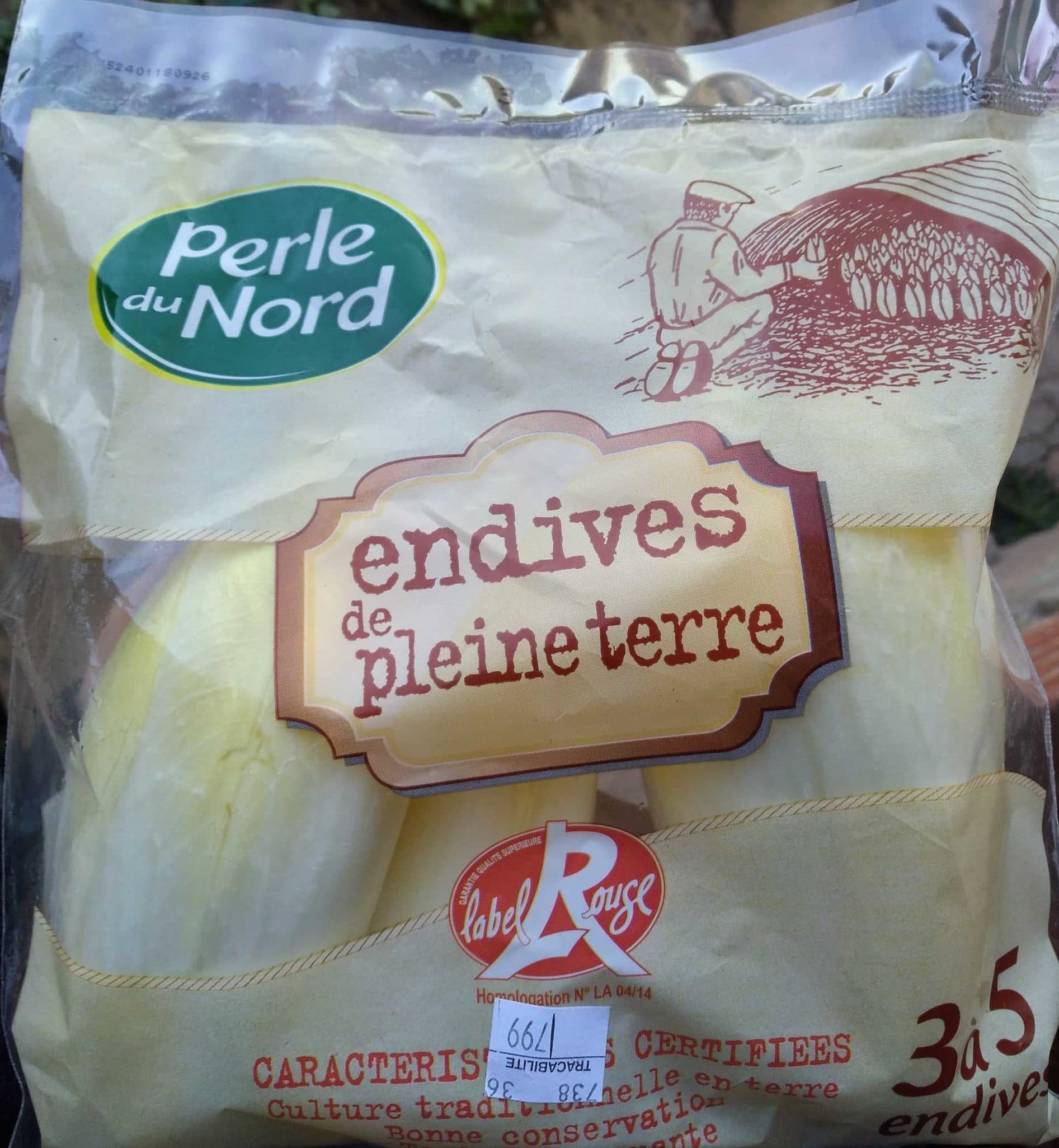 Perle du Nord Endives de pleine terre packshot