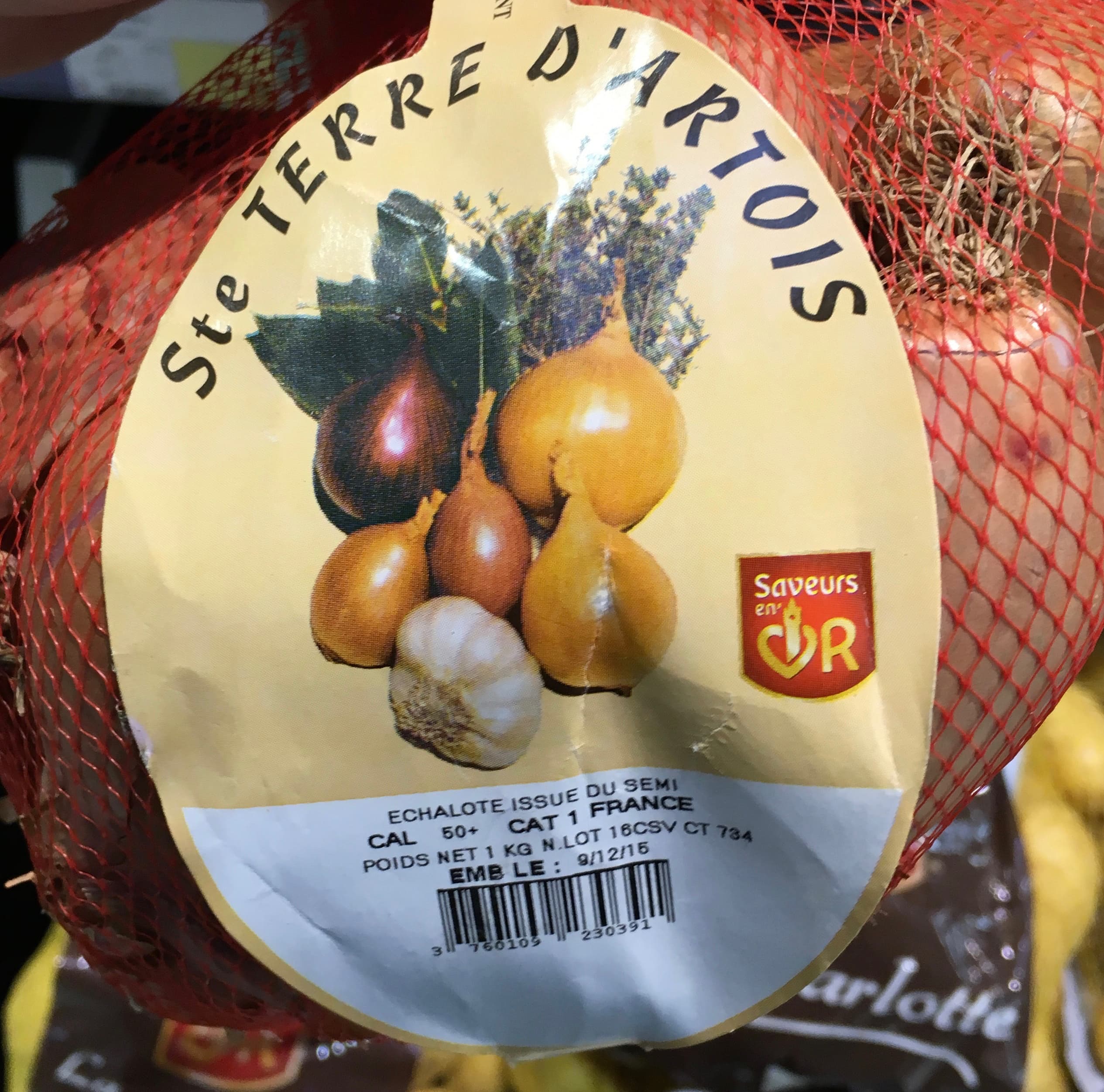 Ste Terre d'Artois Echalote issue du semi packshot