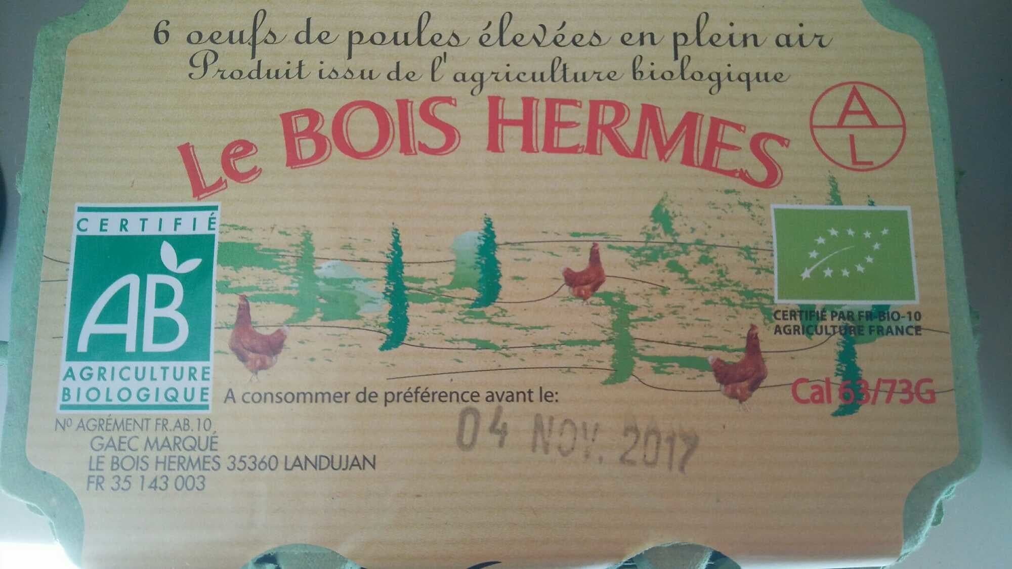 Le Bois Hermès 6 oeufs de poules élevées en plein air packshot