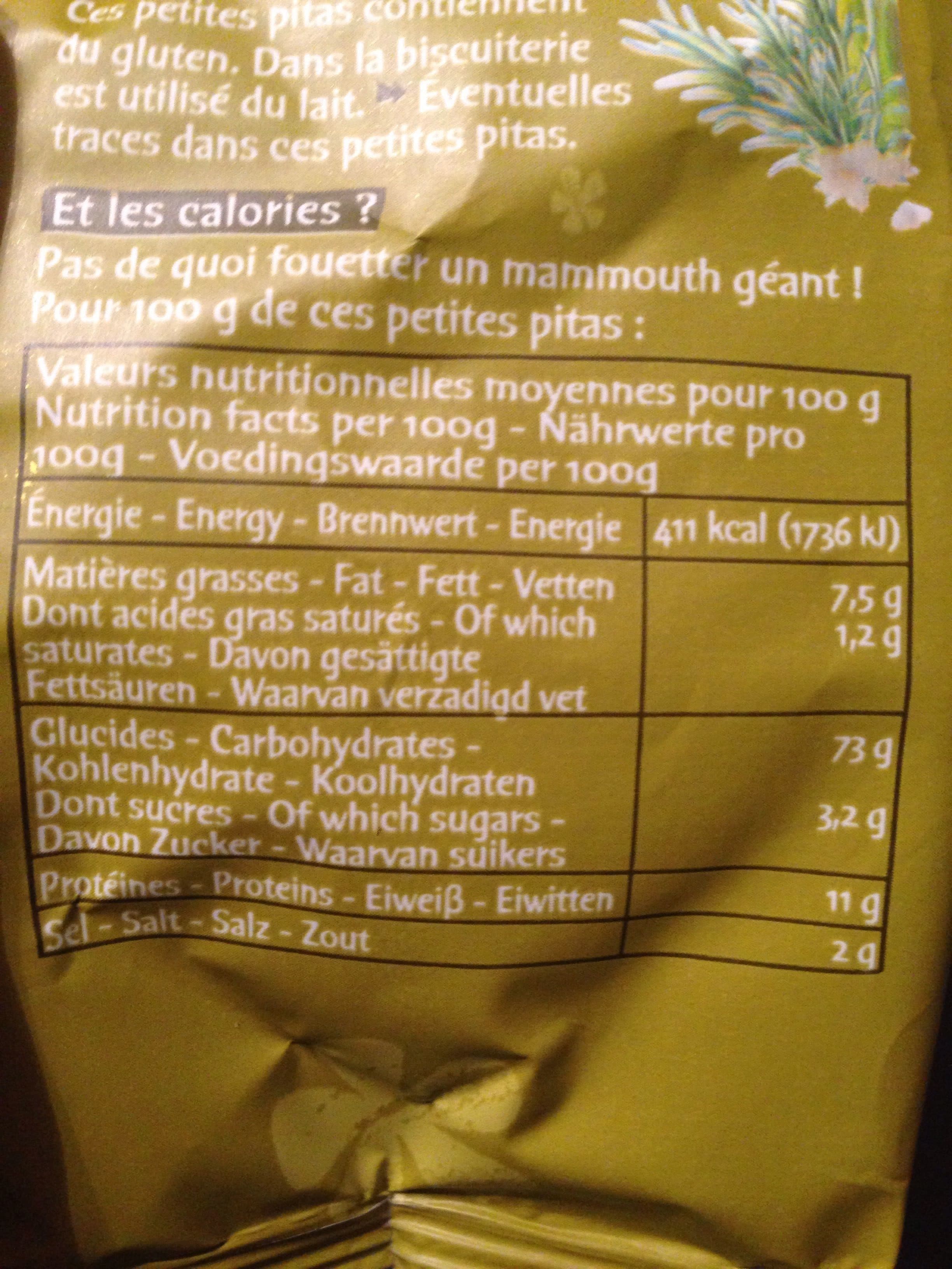 Michel et Augustin Petites pitas au romarin et pointe de sel packshot
