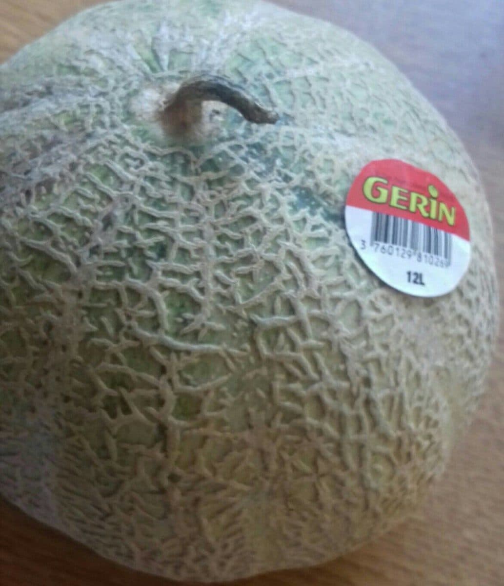 Gerin Melon packshot