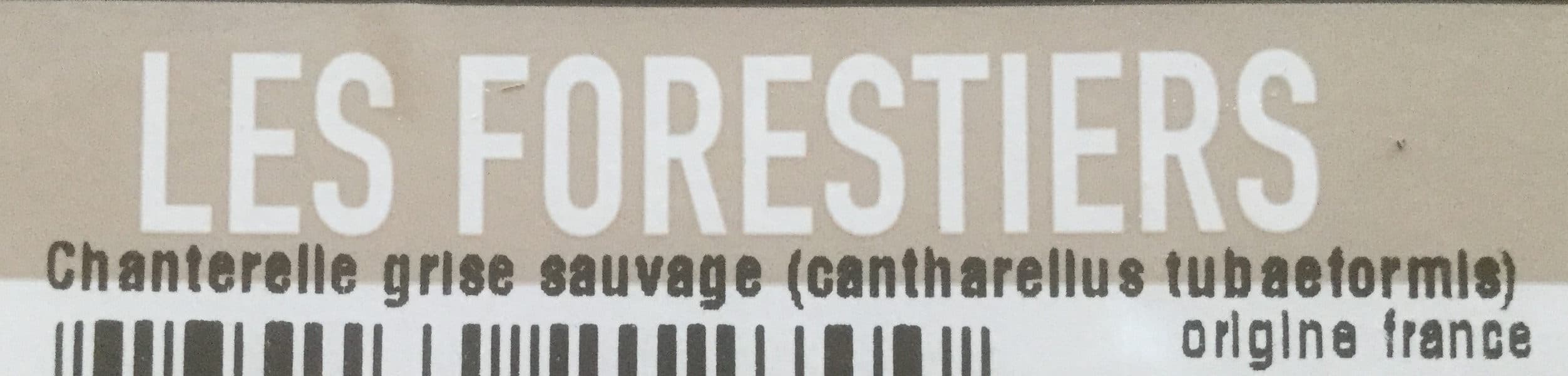 Maison Vialade Les Forestiers packshot