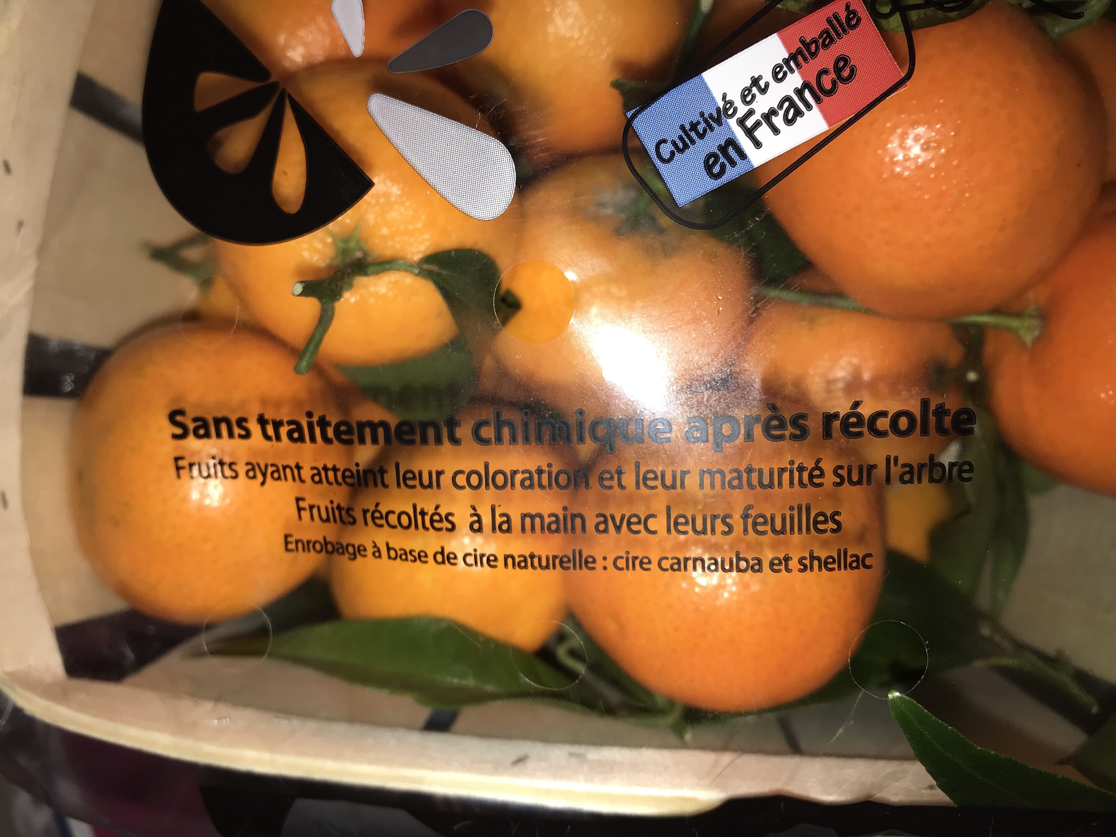 Corsica Comptoir Clementine de corse packshot