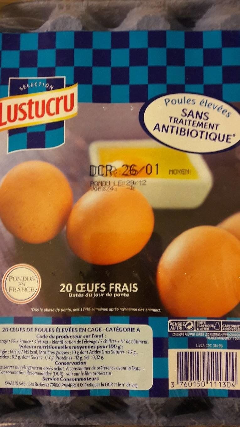 Open Food Facts 20 oeufs frais packshot