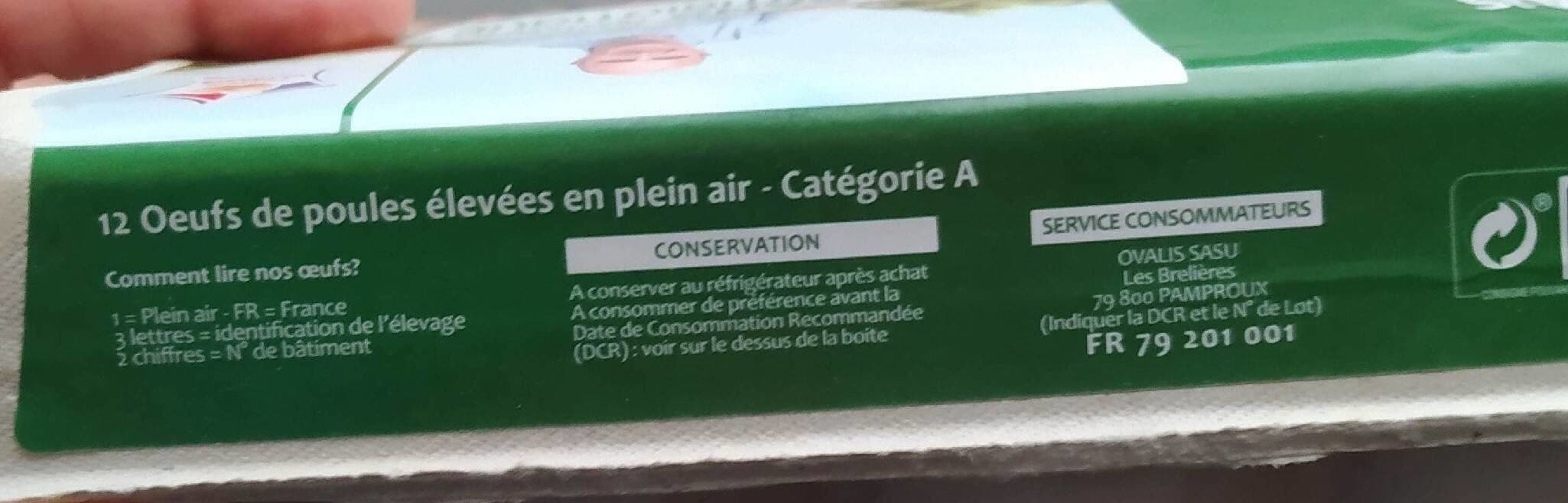 Lustucru Œufs plein air packshot