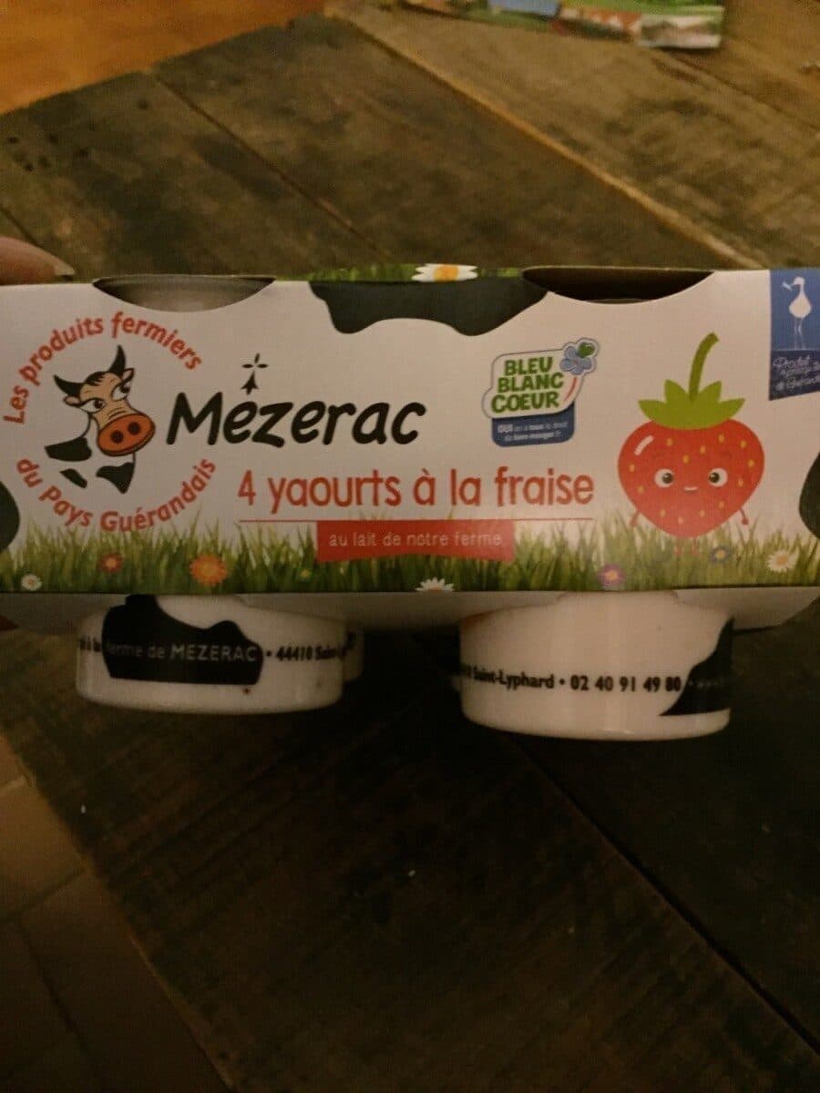 mezerac Yaourts a la fraise packshot