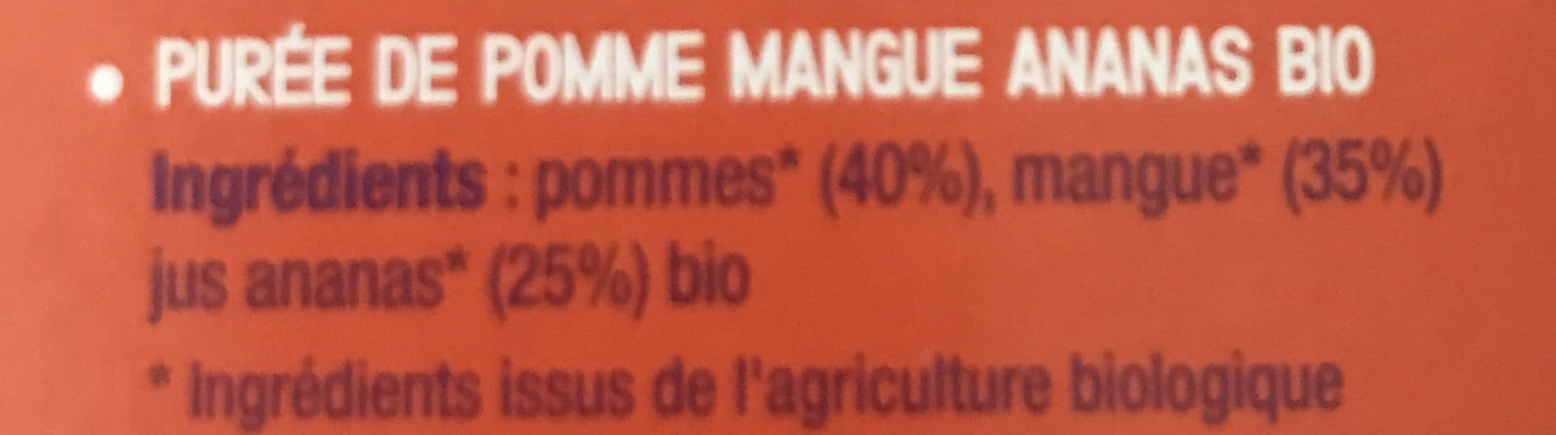 MANGE TA COMPOTE ! Pomme mangue ananas packshot