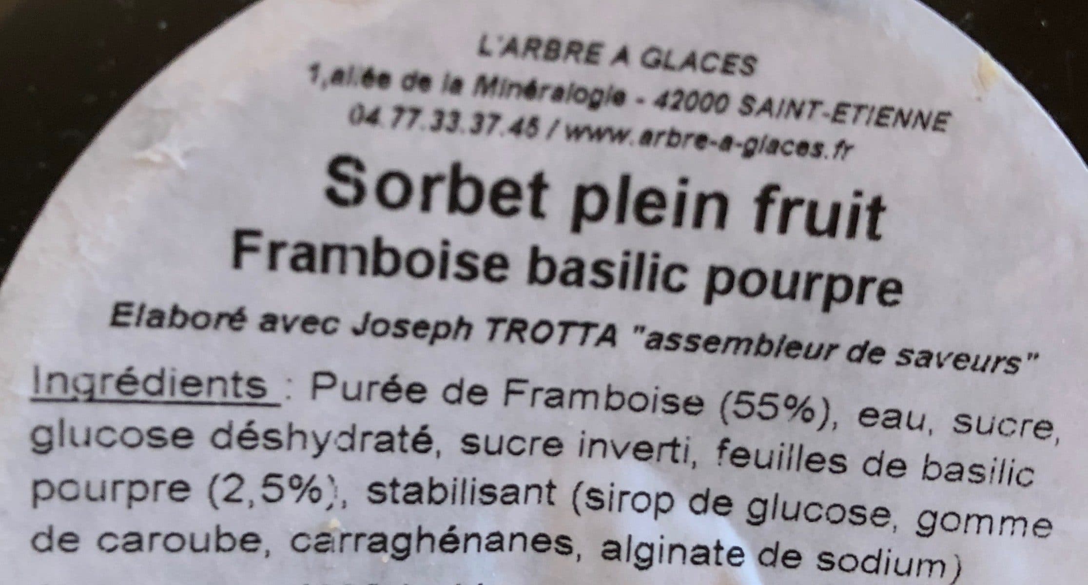 L'Arbre à Glaces Sorbet framboise basilic pourpre packshot