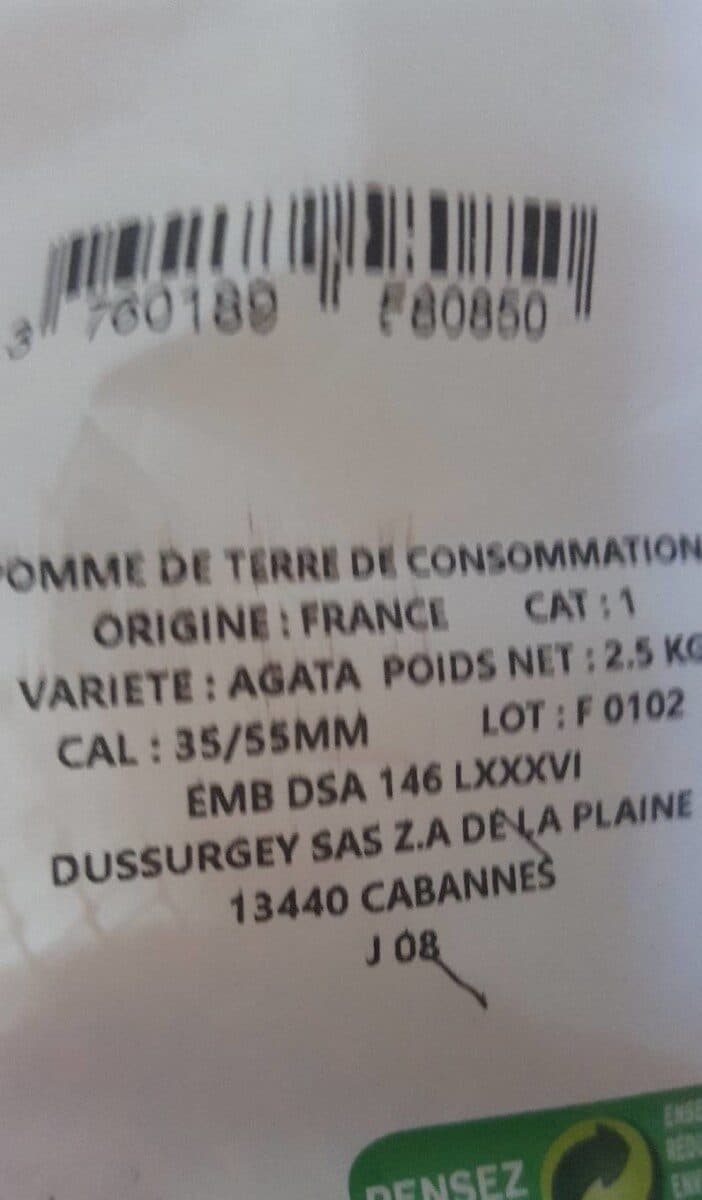 Dussurgey Pommes de terre jaunes Variété Agata packshot
