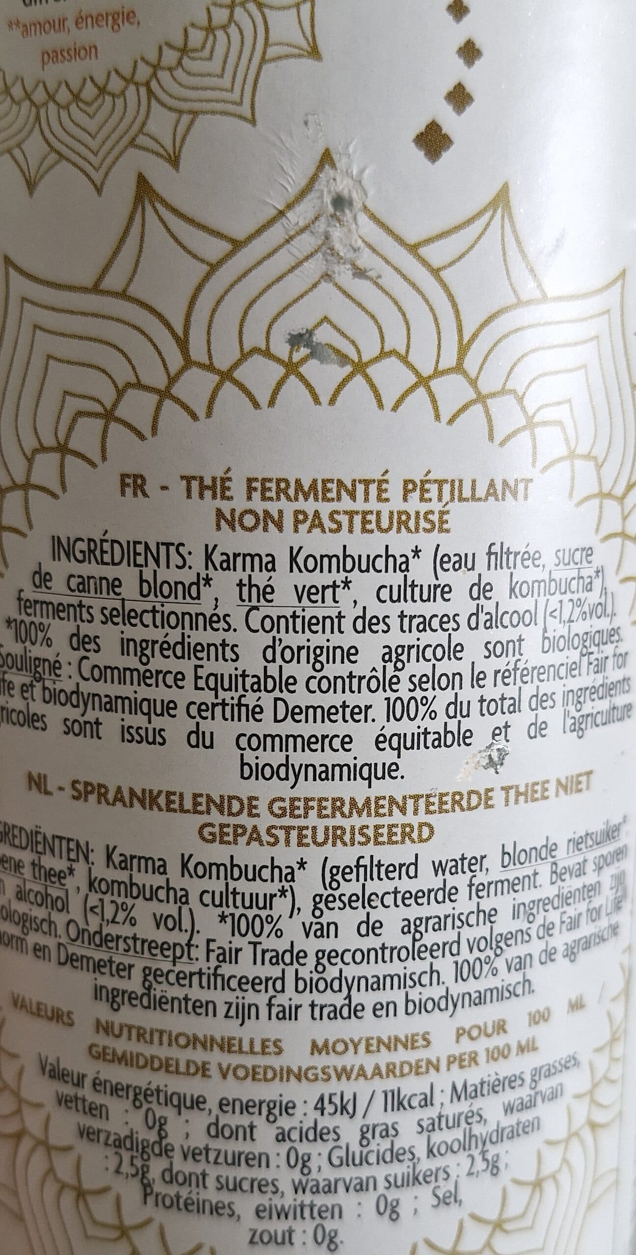 Biogroupe Kombucha Thé Vert packshot