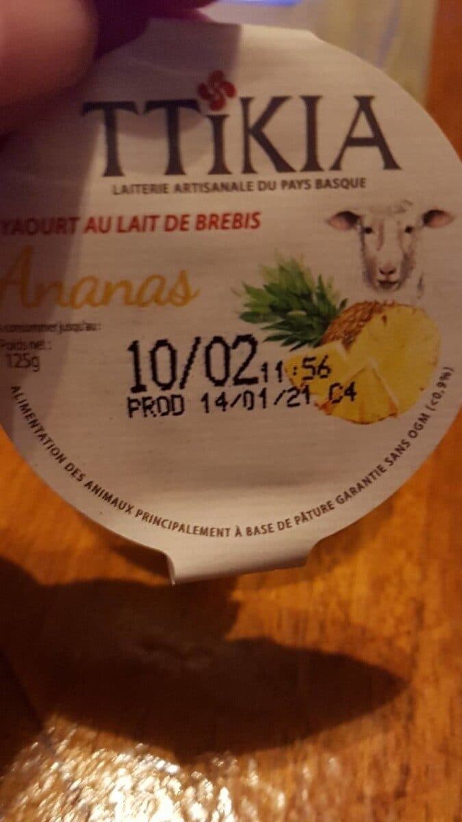 Ibaski TTIKIA packshot