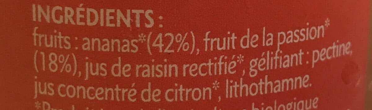 Régal Fruits Préparation de fruits Ananas Passion bio packshot
