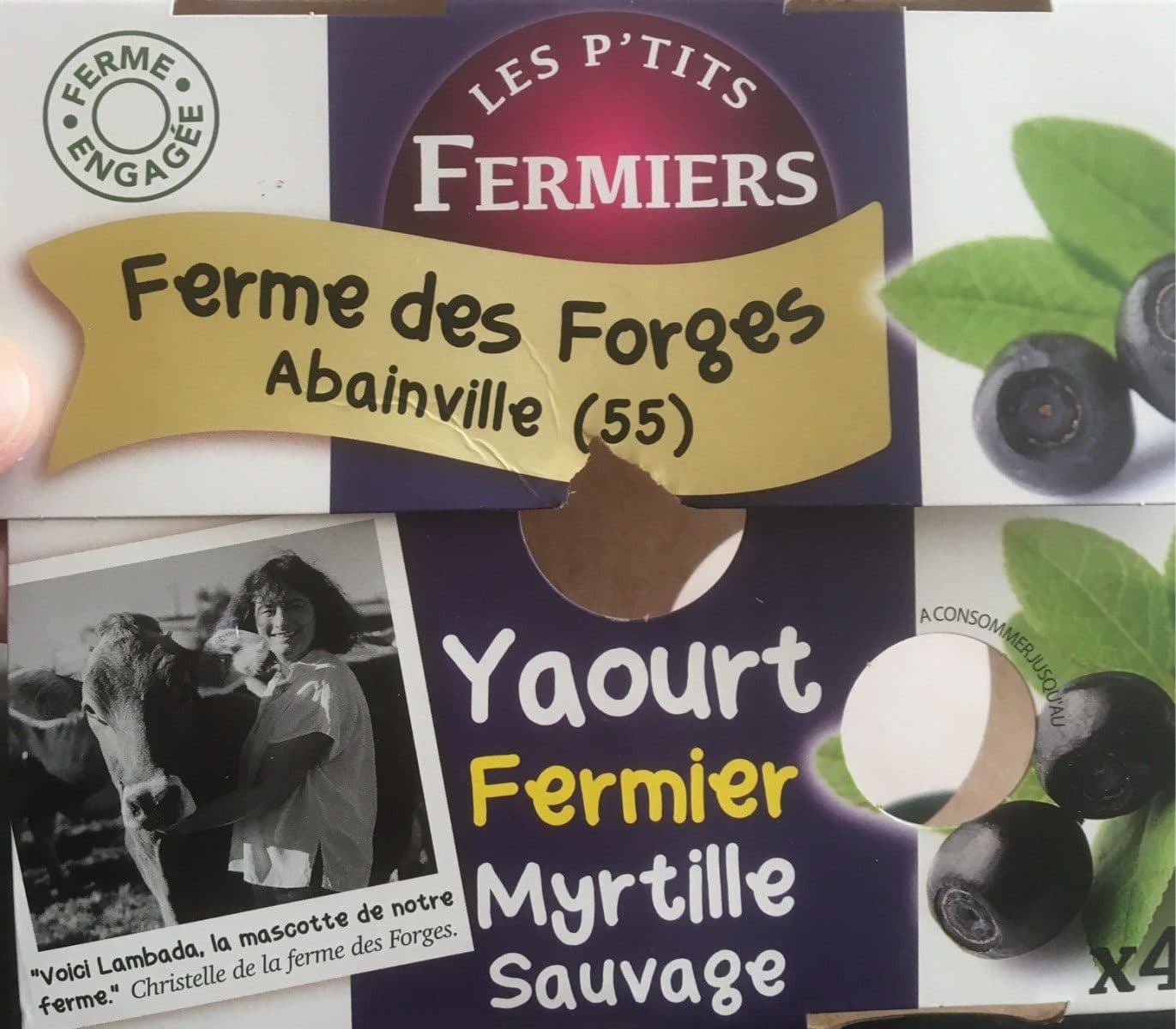 Les P’tits Fermiers Yaourt fermier myrtille sauvage packshot