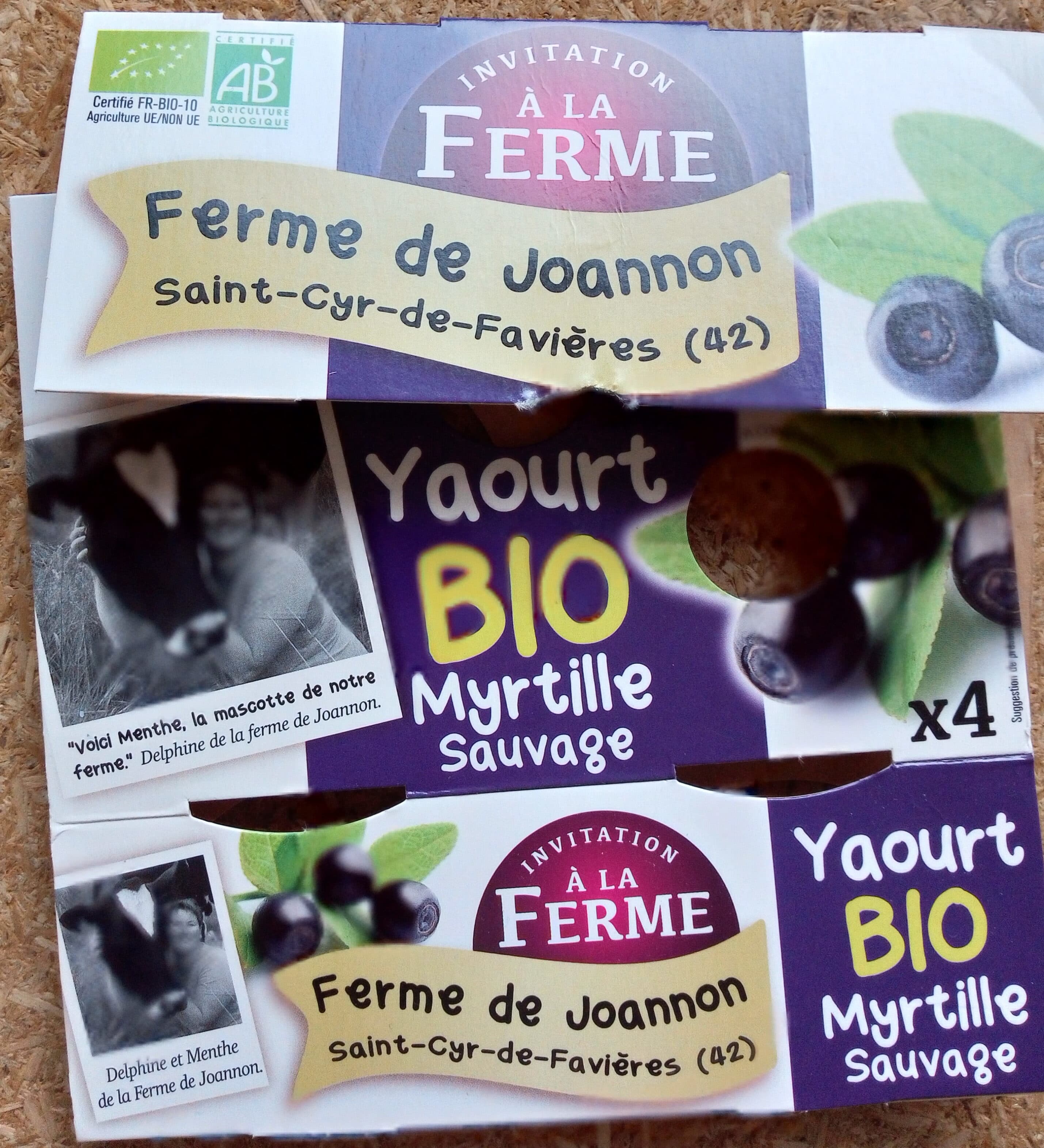 Ferme de Joannon Yaourt myrtilles packshot