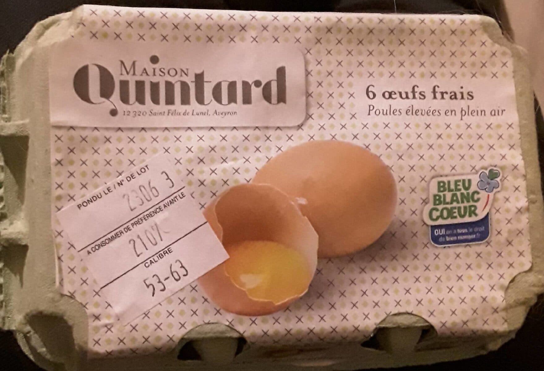 Maison Quintard 6 œufs frais packshot