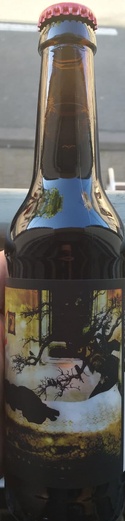 Pühaste Nokturn packshot