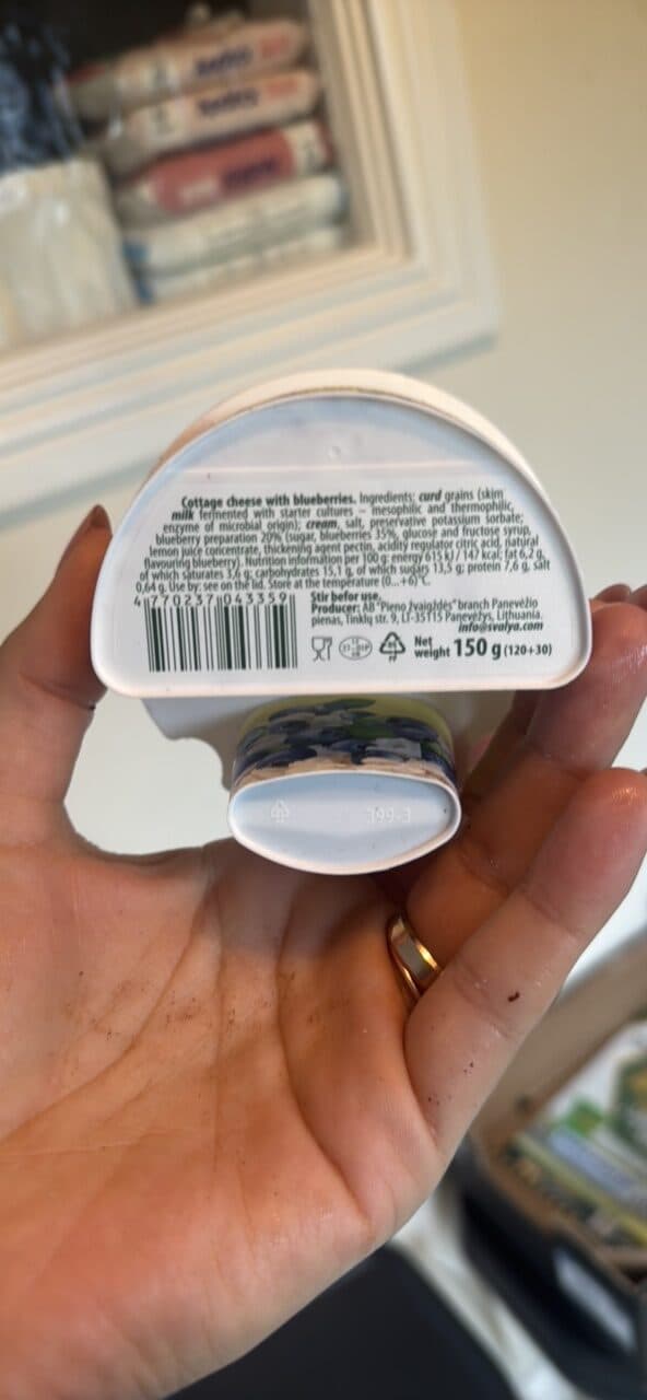 Svalya Cottage cheese with blueberries packshot