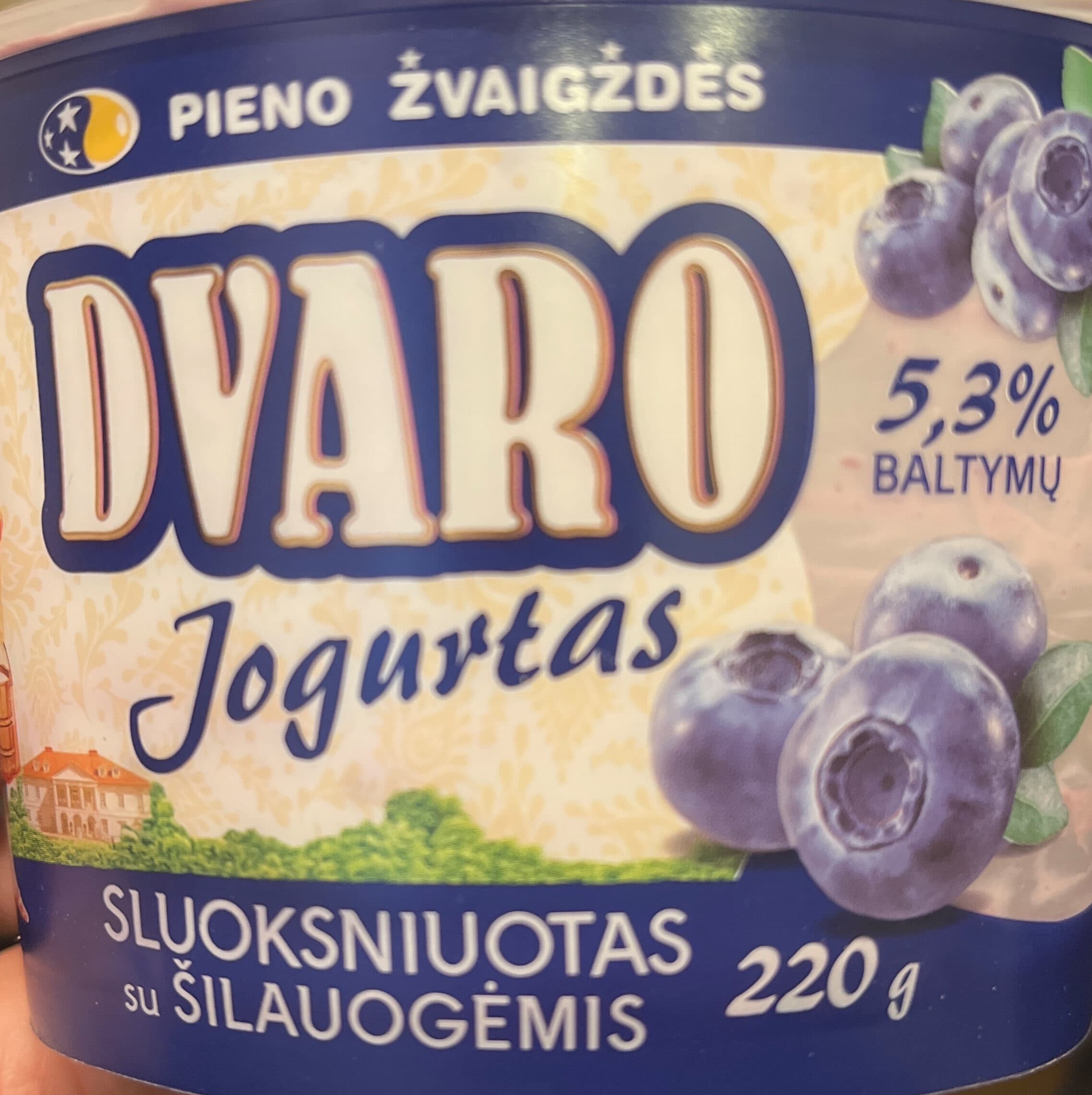 Pieno Žvaigždės Jogurt with blackberries packshot