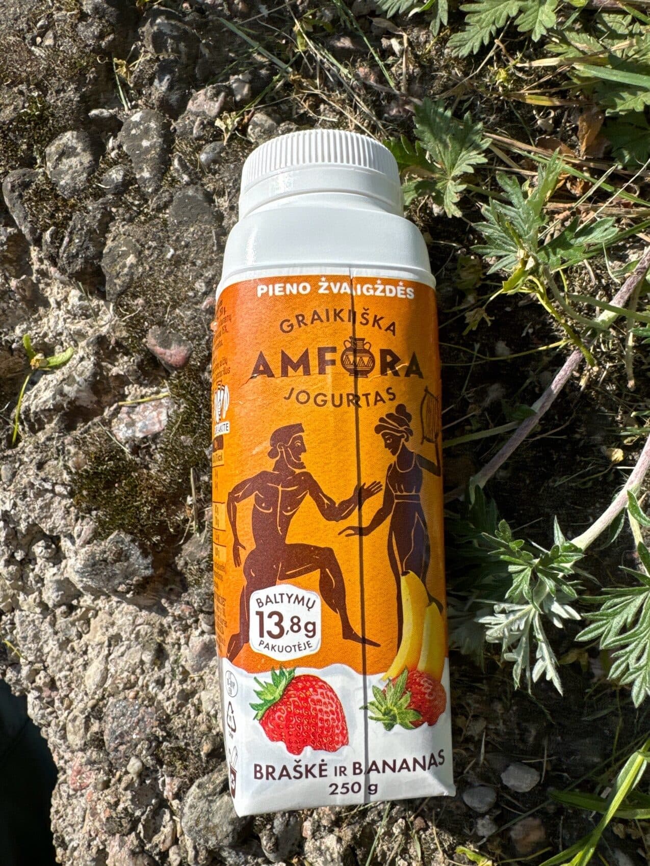 Pieno Zvaigzdes Graikiska Amfora Jogurtas packshot