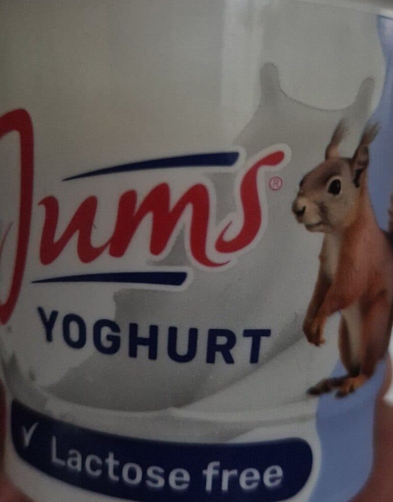 Žemaitijos Pienas Yoghurt Jums packshot