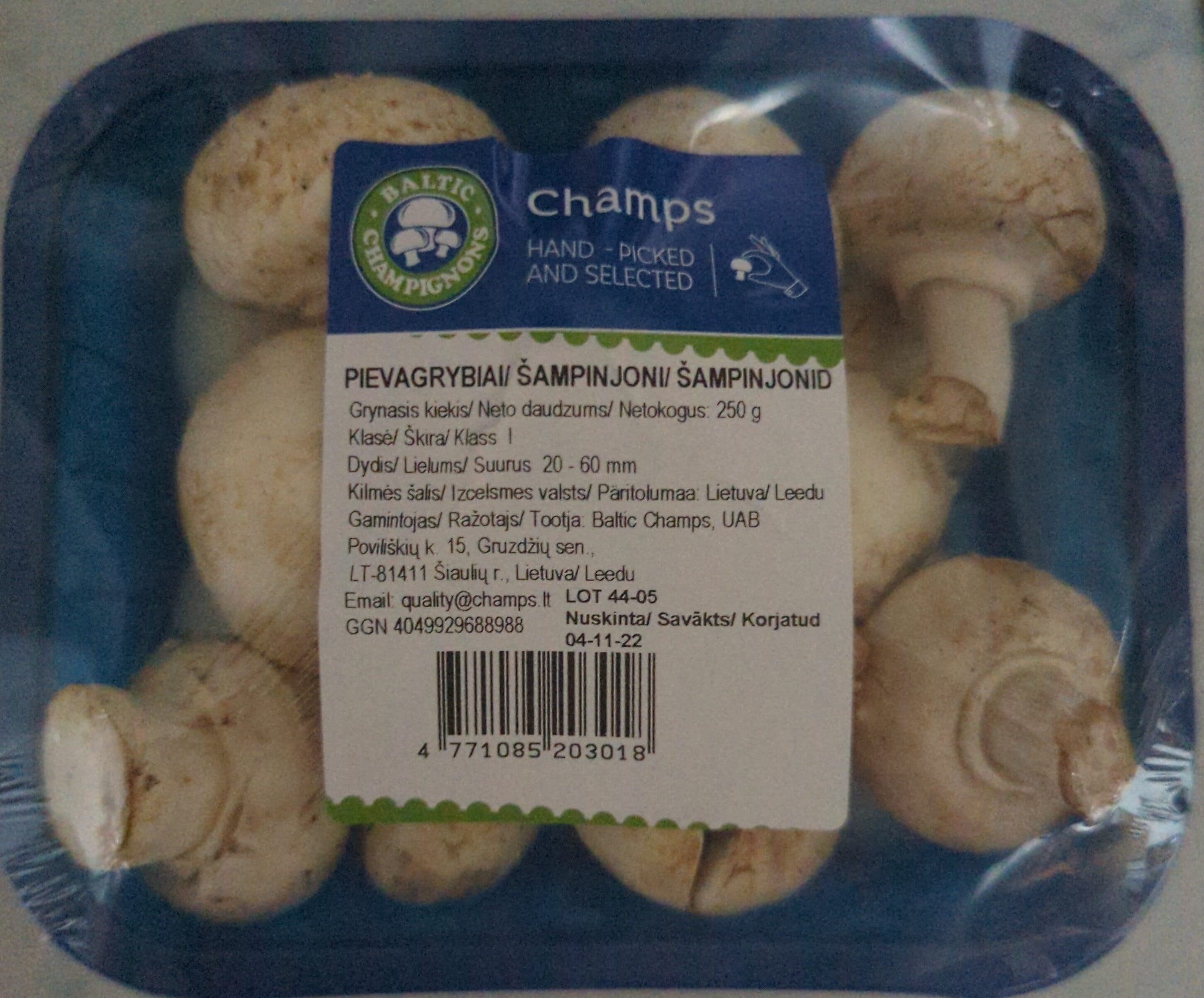 Baltic Champs Pievagrybiai packshot