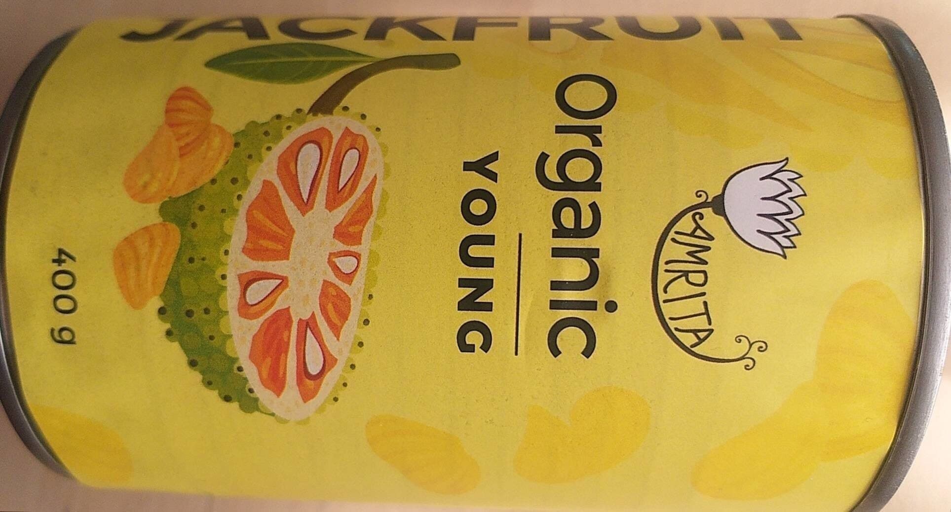 Fruit Jeune jacquier biologique en saumure packshot