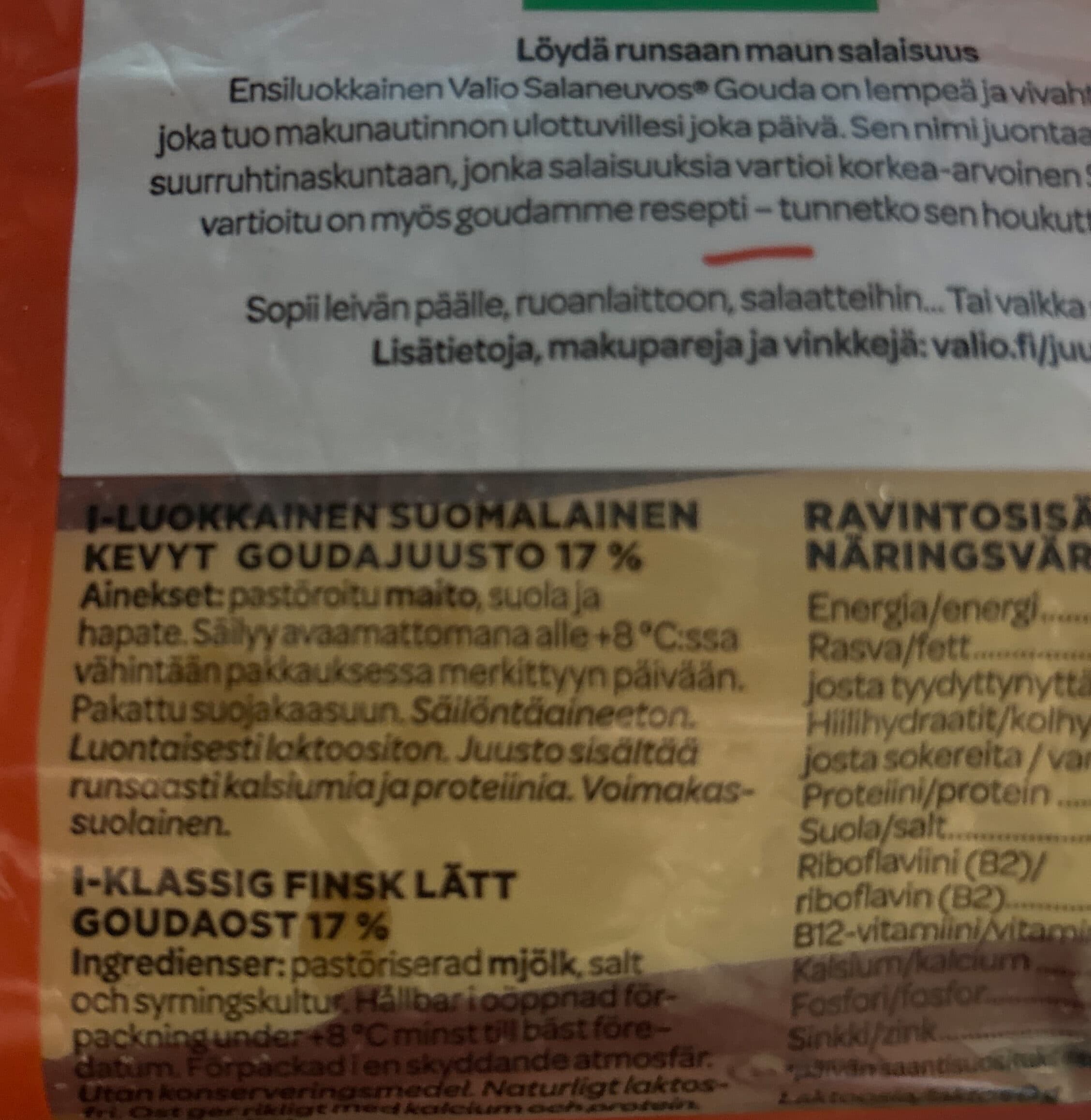 Valio Salaneuvos Gouda 17% packshot