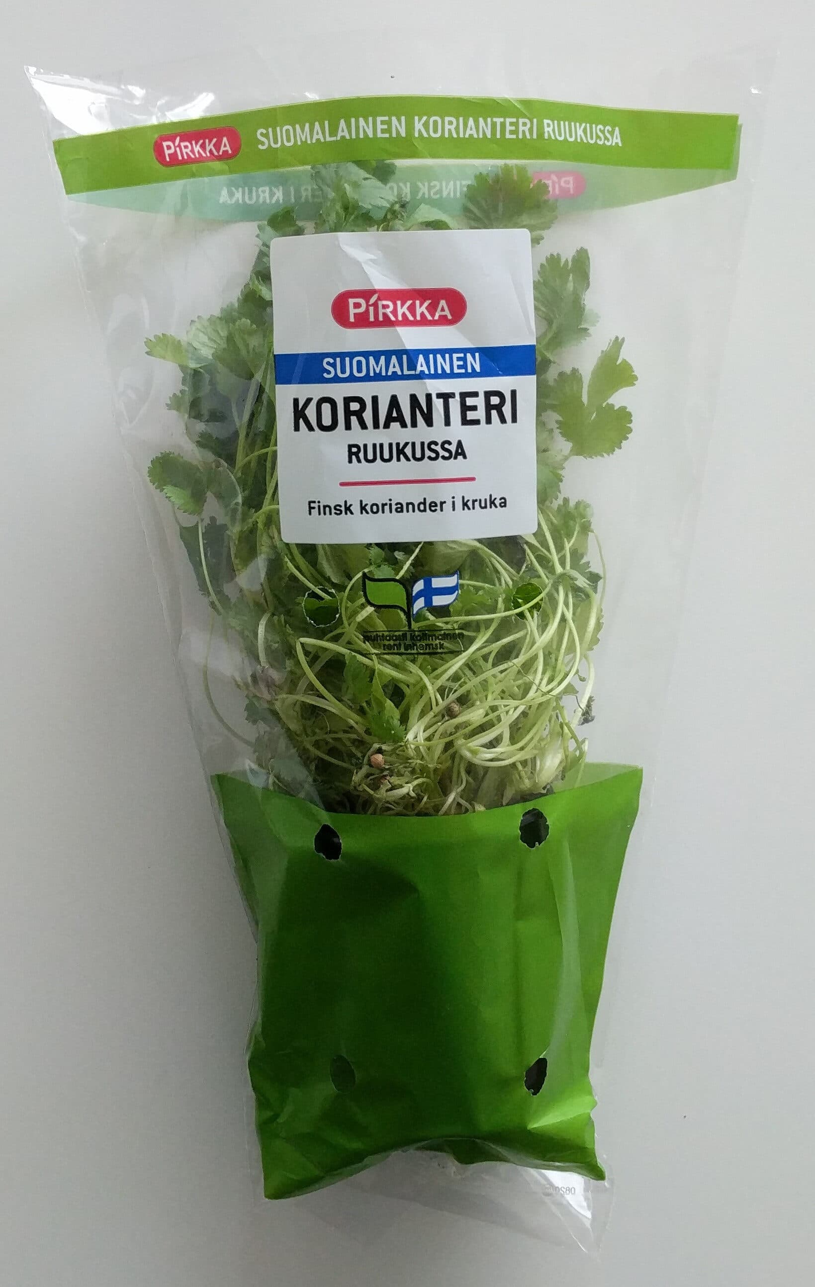 Pirkka Suomalainen korianteri ruukussa packshot