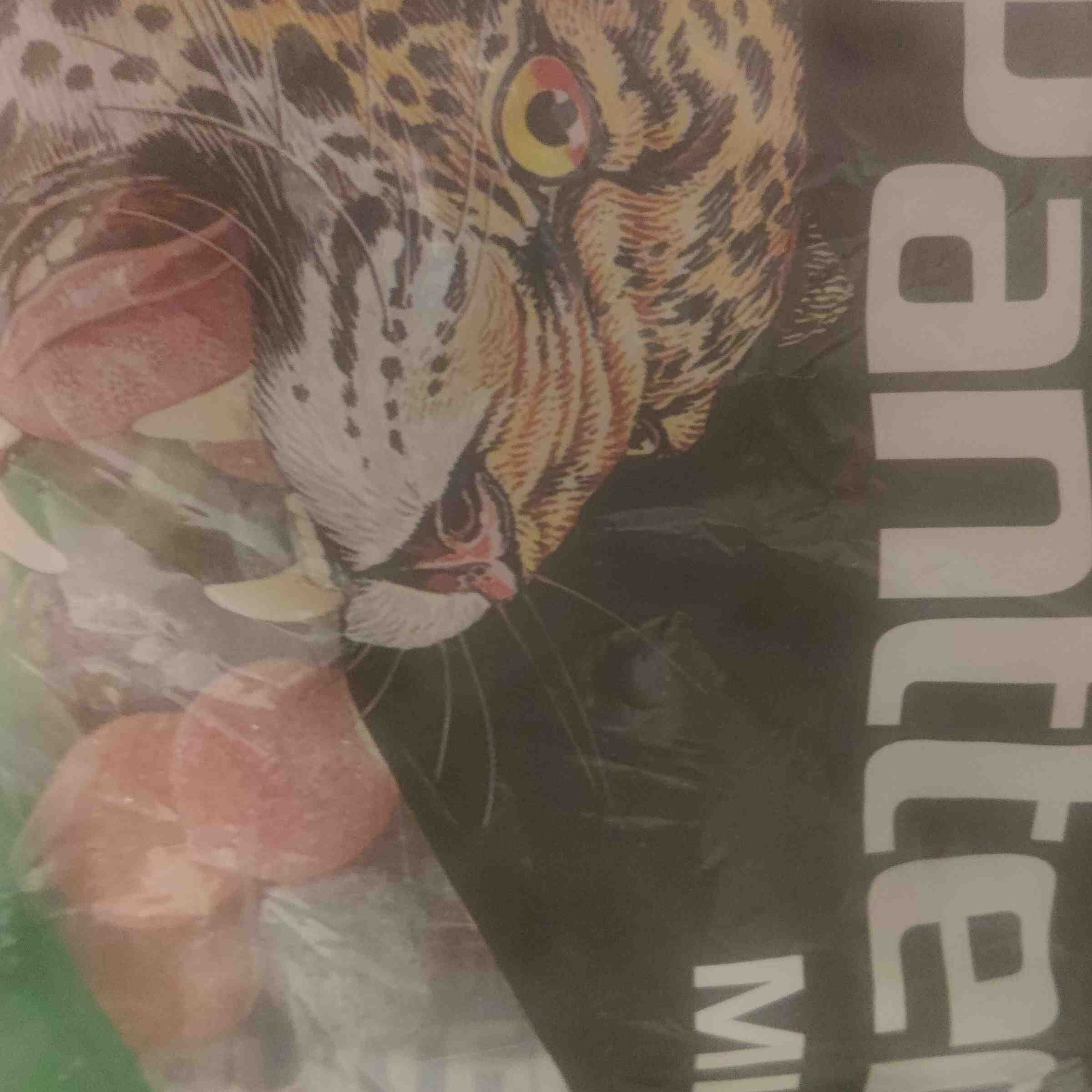 Fazer Panteri Miz packshot