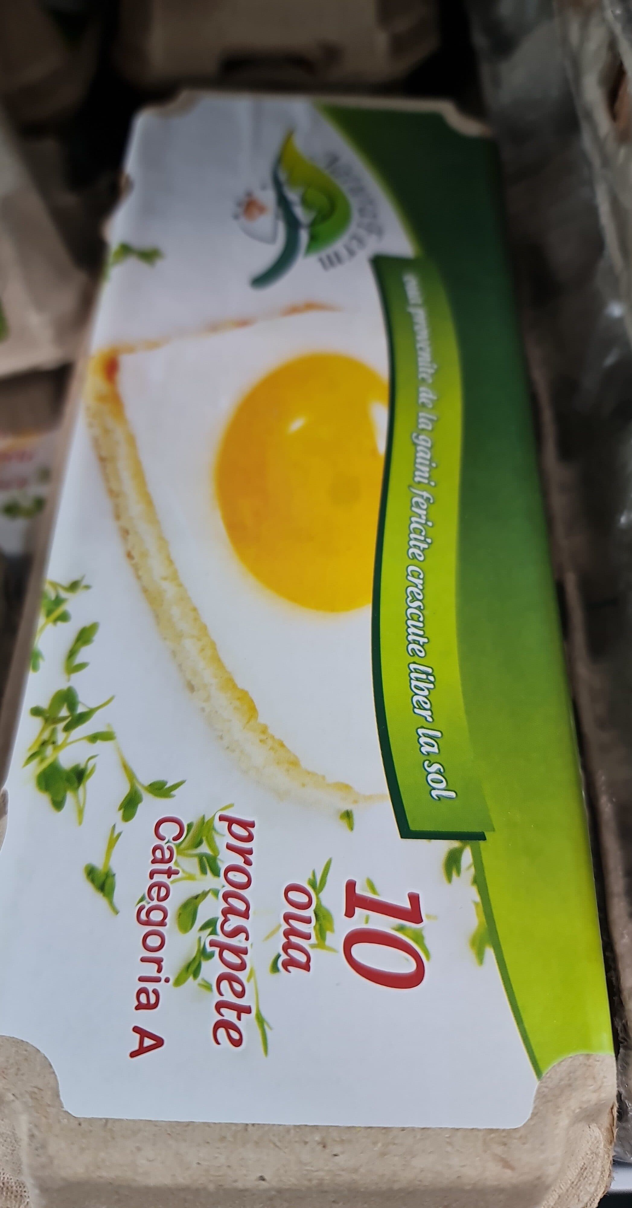 Avicola oua caserola 10 bucati packshot
