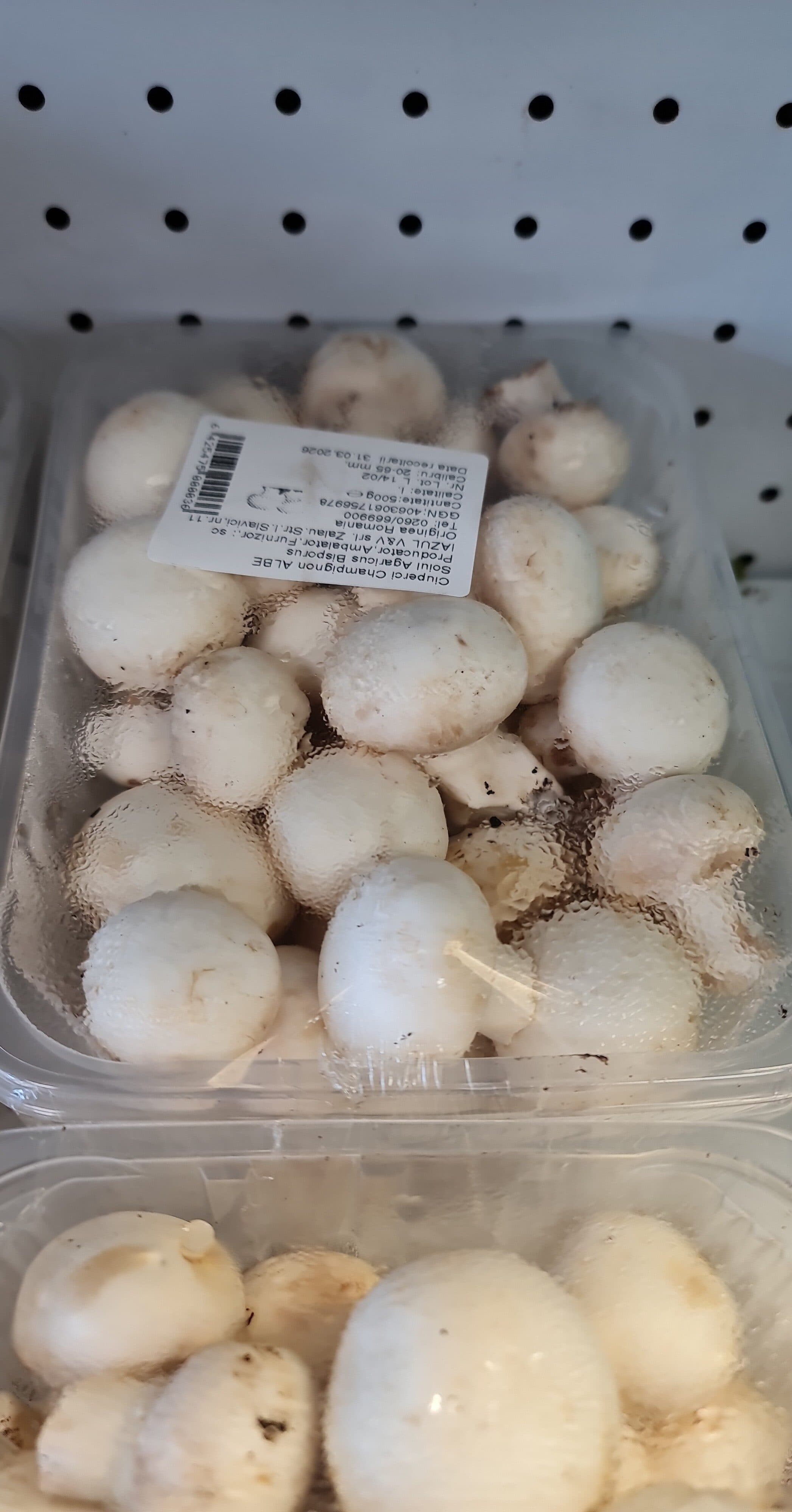 Ciuperci champignon caserola 500 GR C1 packshot