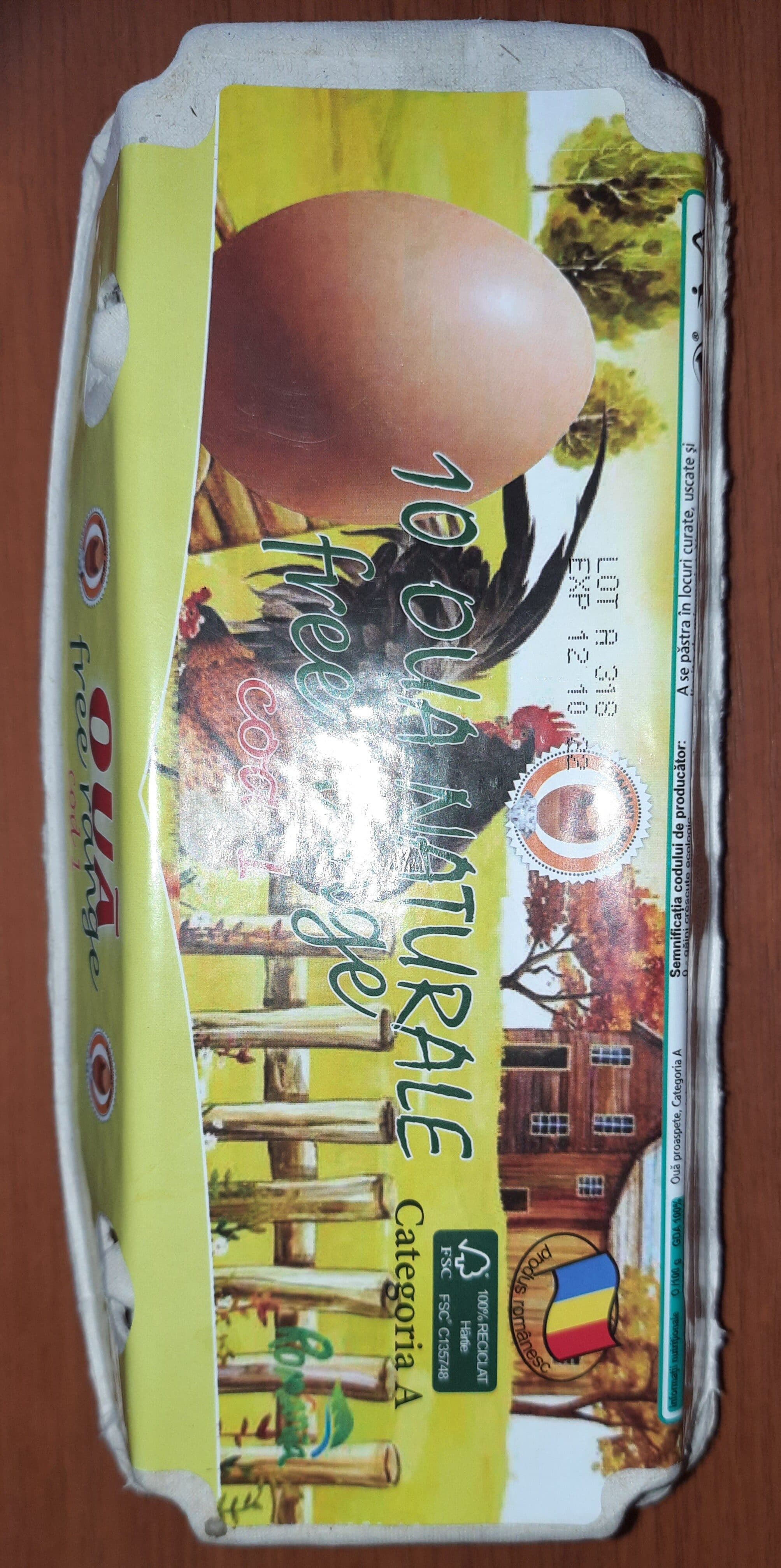 Diamant Grup 10 oua naturale free range packshot