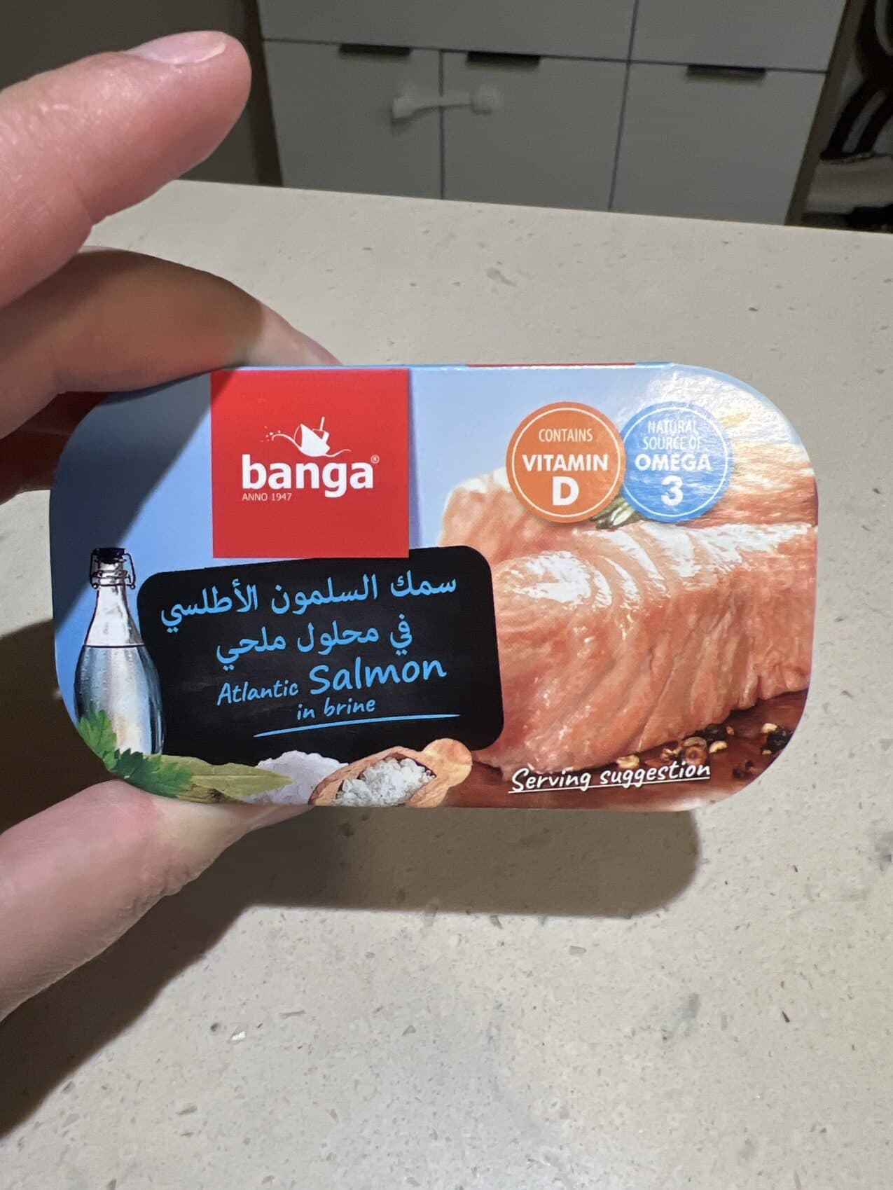 Banga Atlantic Salmon in Brine packshot