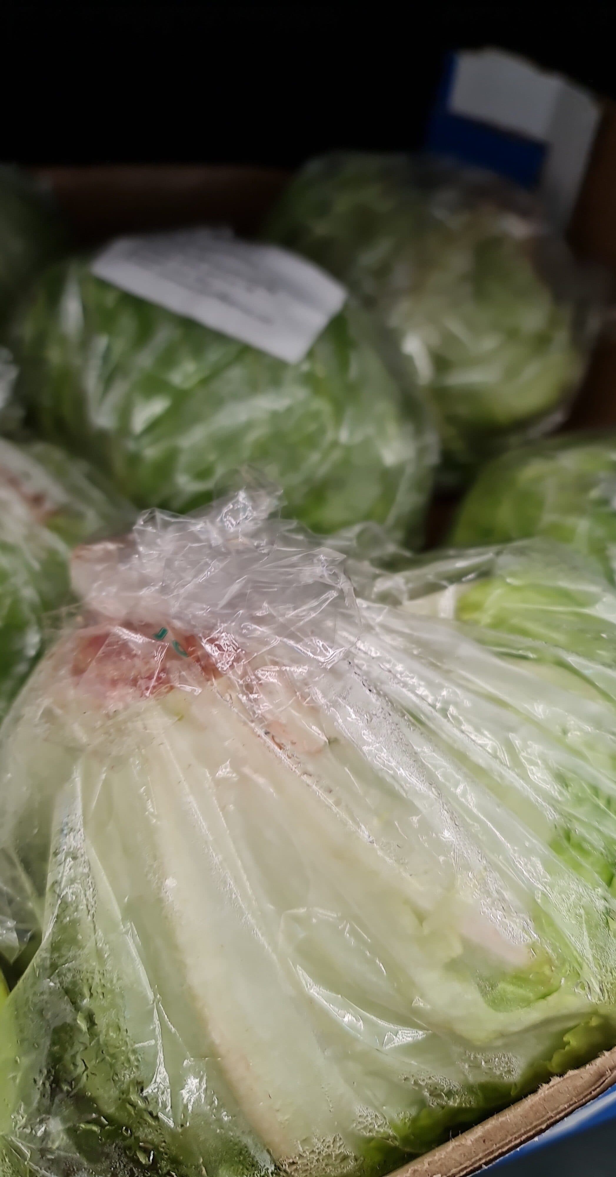 Salata iceberg Spania buc packshot